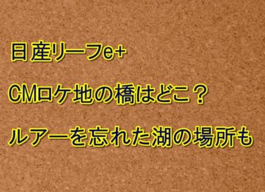 日産ルークスcmロケ地はどこ 出演者の女優や子役の女の子も 高速sa活用マニュアル